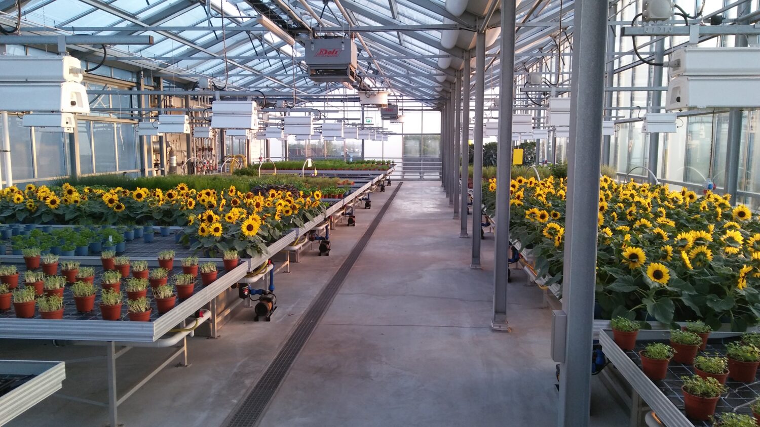 20200827_065620-scaled Vertical Farming: Obst und Gemüse unter einem Dach