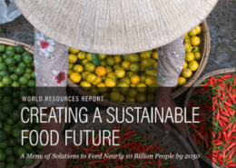 WRR_Food_Full_Report-260x185 Zukunftsreise 2050 - ein Rückblick als Orientierungshilfe