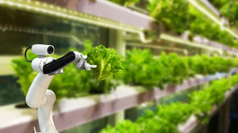 Robotic-768x430 Hype um urbane Landwirtschaft: Der Milliardenmarkt der Zukunft