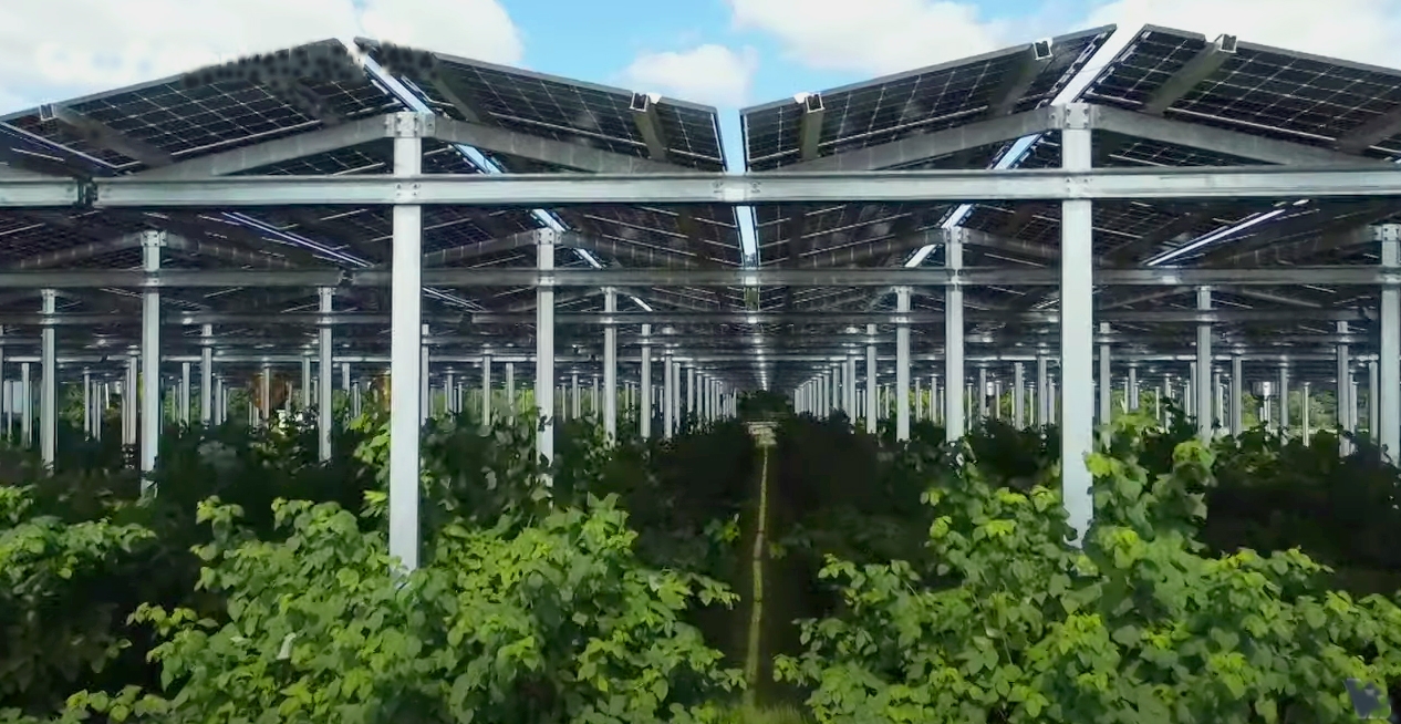 Landwirt-Fabian-Karthaus Agri-Photovoltaik: Mehr Power für die Landwirtschaft