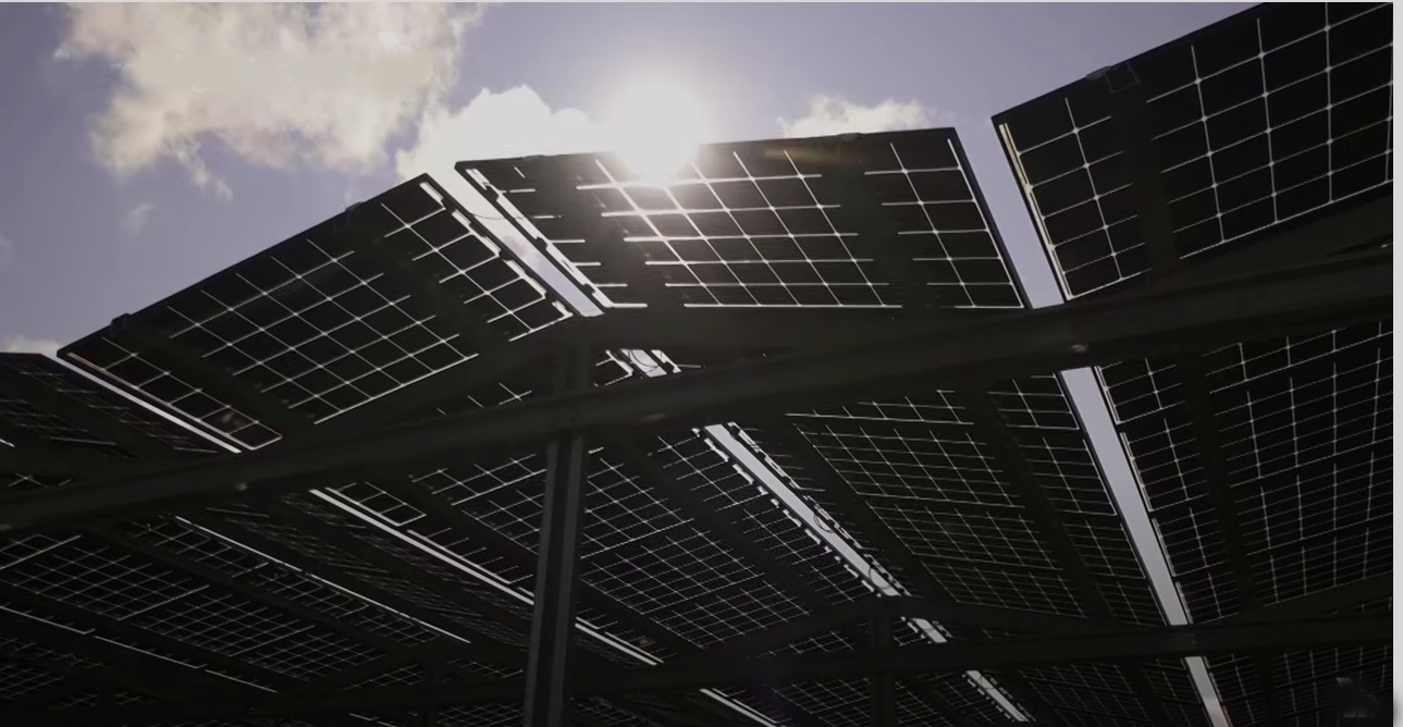 Solardach Agri-Photovoltaik: Mehr Power für die Landwirtschaft