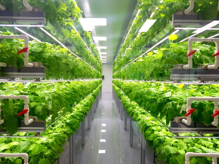 Crop-One-vertical-farming-705x529 Nachhaltigkeit